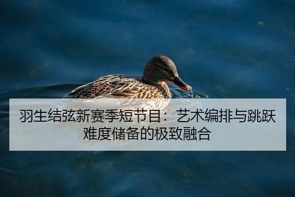 羽生结弦新赛季短节目：艺术编排与跳跃难度储备的极致融合