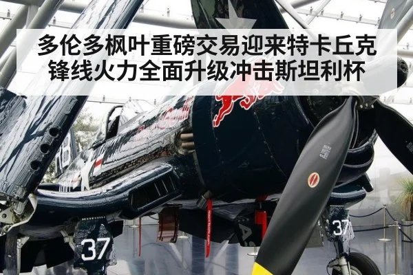 多伦多枫叶重磅交易迎来特卡丘克 锋线火力全面升级冲击斯坦利杯